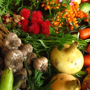 Still Doubting That Organics are the Future?