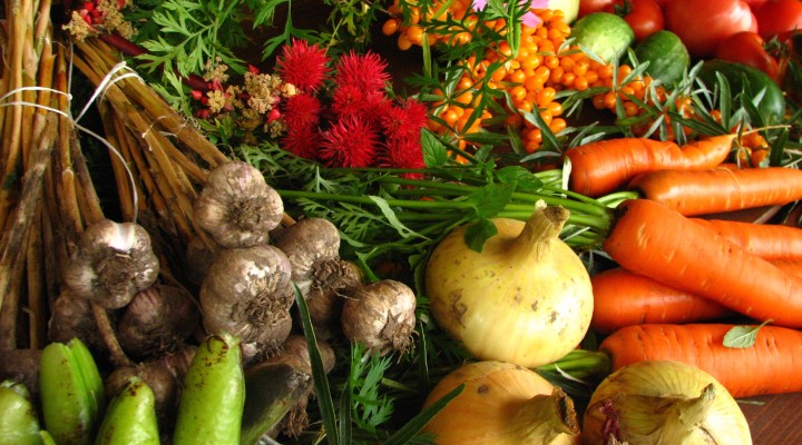 Still Doubting That Organics are the Future?