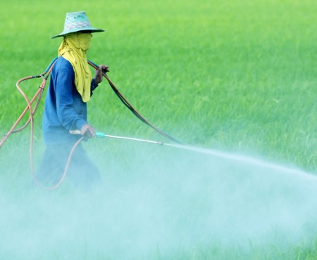 Green Pesticides