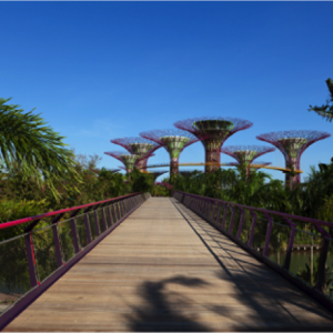 Singapore’s dramatic Gardens