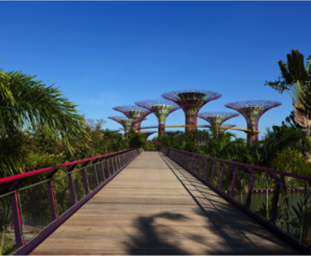 Singapore’s dramatic Gardens