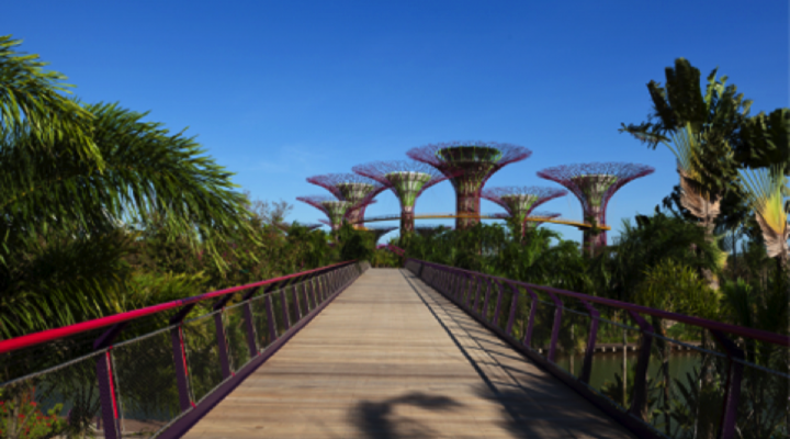 Singapore’s dramatic Gardens